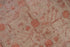 Antique Khotan Area Rug (5' x 11')